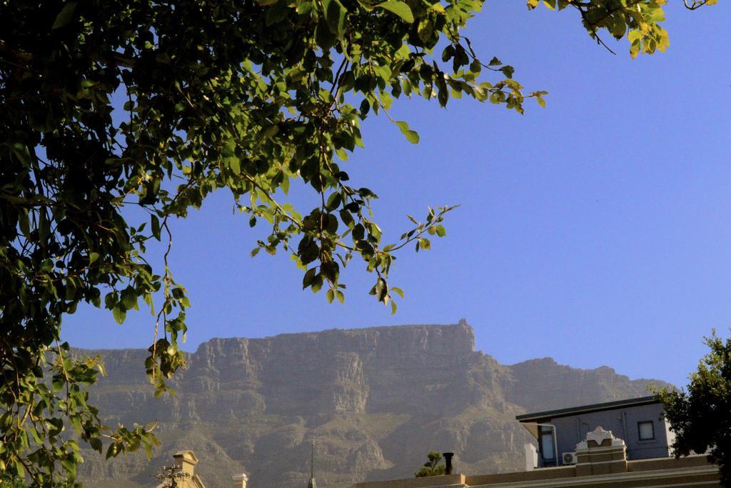 Ikhaya Lodge Cape Town Exterior foto